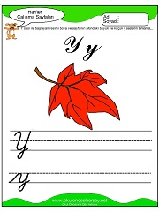 Y Sesi Çalışma Sayfaları